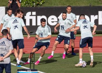 المنتخب الإسباني يواصل الاستعدادته لضربة بداية اليورو