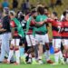 فلامينغو يواجه بالميراس في نهائي برازيلي بكأس ليبرتادوريس
