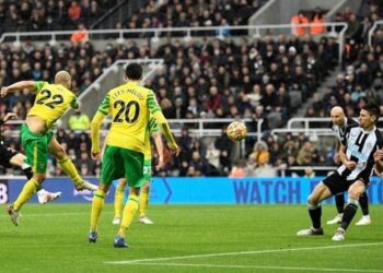 نورويتش يتعادل مع نيوكاسل ويحرمه من الفوز الأول في الدوري الإنجليزي
