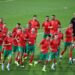 الأسود يواجهون وديا منتخبين افريقيين استعدادا للكان