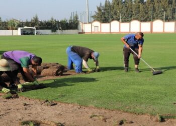 طماطم المغرب وملاعب الجزائر