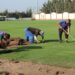 طماطم المغرب وملاعب الجزائر