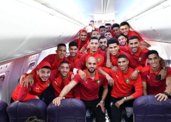 بدخ يرافق الأسود إلى الكاميرون: حراس أمن وطباخون وعاملات نظافة وأفرشة وأغذية ورحلات جوية خاصة