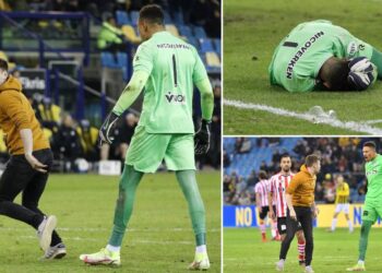 إلغاء مباراة في الدوري الهولندي بسبب كوب جعة