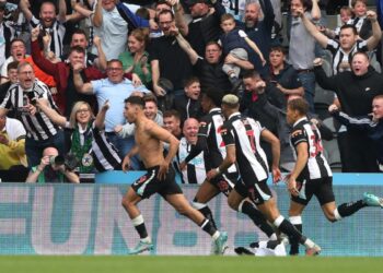 نيوكاسل ينعش حظوظ البقاء في الدوري الإنجليزي