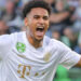 ريان مايي يفوز على زين الدين مشاش ويسجل هدفه 13 في الدوري الهنغاري
