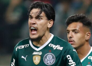 بالميراس ينفرد بصدارة الدوري البرازيلي