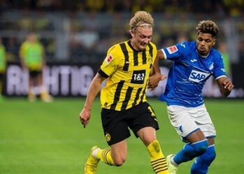 دورتموند يحقق فوزاً صعباً على هوفنهايم