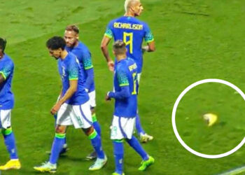 اتحاد الكرة البرازيلي يتهم الجماهير التونسية بالعنصرية