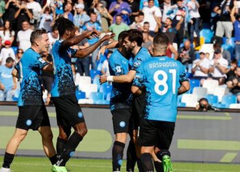 نابولي يهزم تورينو ويتصدر الدوري الإيطالي