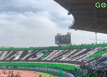 شاهد.. تيفو رائع يليق بمباراة الديربي من الجماهير الرجاوية يحتل نصف مدرجات دونور