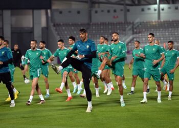 المنتخب الوطني يواصل استعداداته لمباراة بلجيكا