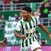 مايي يسجل هدفين ويقود فريقه لصدارة الدوري المجري