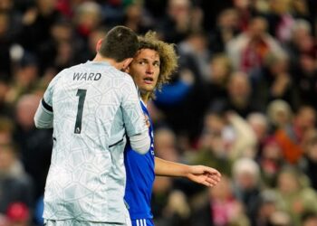البلجيكي فايس يهدي ليفربول الفوز بهدفين في شباك فريقه