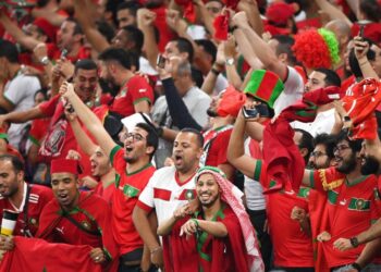 "أنصار الأسود" بقطر