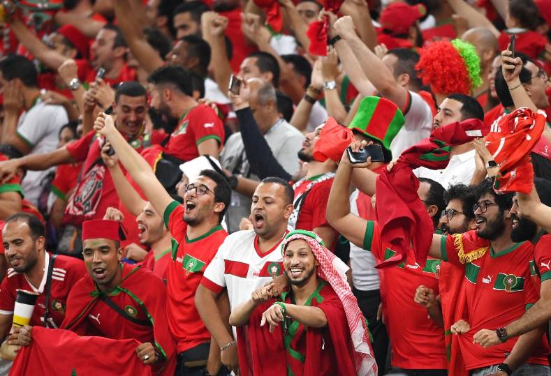 "أنصار الأسود" بقطر