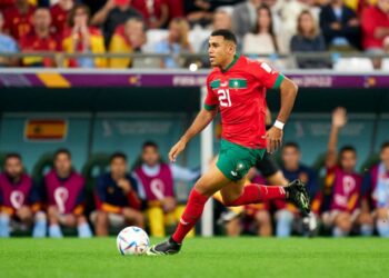 تورينو الإيطالي يضع 5 ملايين يورو لضم شديرة