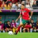 تورينو الإيطالي يضع 5 ملايين يورو لضم شديرة