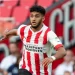 إسماعيل صيباري:” حلمي اللعب للمنتخب المغربي