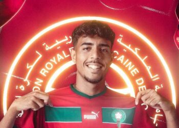 شادي رياض