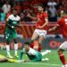الأهلي المصري يواجه الرجاء البيضاوي بحضور 52 ألف