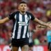 بوتافوغو يتصدر الدوري البرازيلي
