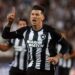 بوتافوغو يستغل تعثر بالميراس ويبتعد في صدارة الدوري البرازيلي