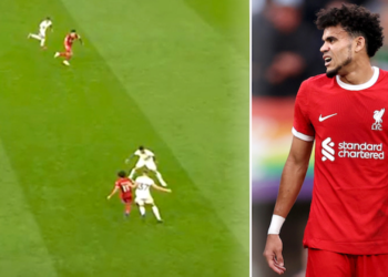 حكام واقعة إلغاء هدف لويس دياز يعودون لمباريات الدوري الإنجليزي