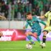 الرجاء الرياضي يطرح تذاكر مباراته امام المغرب الفاسي