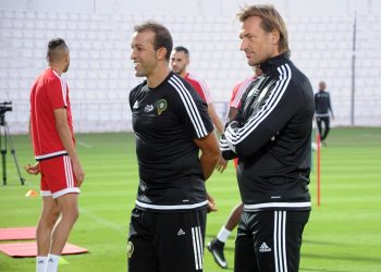 مصطفى حجي: هيرفي رونار سينجح مع المنتخب السعودي رغم التحديات