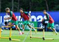 وهبي يعلن عن تشكيلة الأسود لمواجهة اسكتلندا في كأس العالم 2026