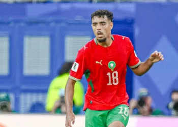شادي رياض: هدفنا الذهاب بعيدًا في كأس العالم 2026