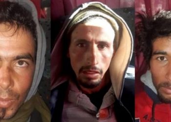 مواصلة محاكمة إراهبيي شمهروش