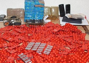 ضبط 8 آلاف و395 قرقوبية في طنجة