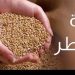 تعرف على قيمة زكاة الفطر هذه السنة