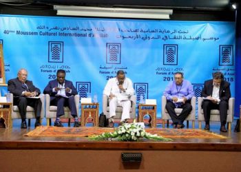 خبراء يناقشون اختلالات الديمقراطية في أصيلا