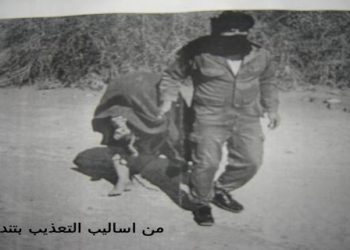فضح انتهاكات البوليساريو بالولايات المتحدة