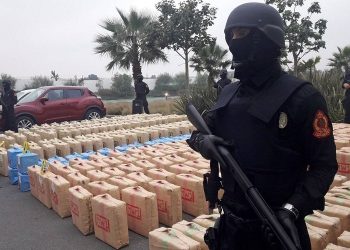 “الديستي ” تحبط تهريب 12 طن من الشيرا