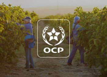 OCP يعقد لقاء ببنجرير