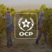 OCP يعقد لقاء ببنجرير