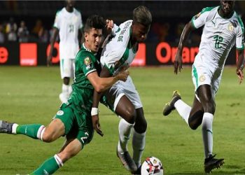 أمم إفريقيا 2019: الجزائر والسنغال في نهائي إرادة وانتظار طويل