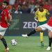 رئيس الاتحاد المصري يستقيل ويقيل الجهاز الفني