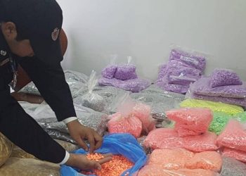 ضبط 10 آلاف قرقوبية بمحطة أولاد زيان