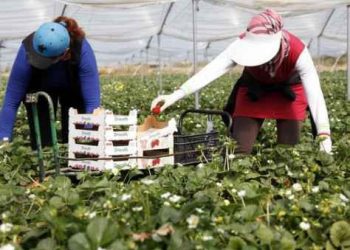 المغرب وإسبانيا يؤكدان على الحصيلة “الإيجابية” لعملية تسفير العمال