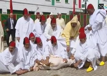 أمير  المؤمنين  ينحر اضحية العيد