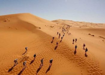 المغربي رشيد المرابطي بطل ماراطون بقطع 100 كلم في ثماني ساعات