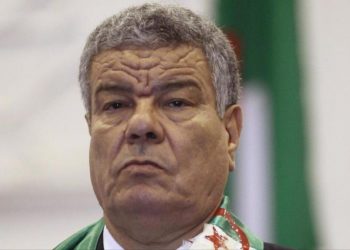 عمار سعداني: الصحراء مغربية ويتعين على الجزائر والمغرب فتح حدودهما