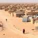 الخارجية الاسبانية تحذر مواطنيها من السفر  لتندوف