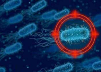 فيروس كورونا يصيب 571 ضحية بالصين