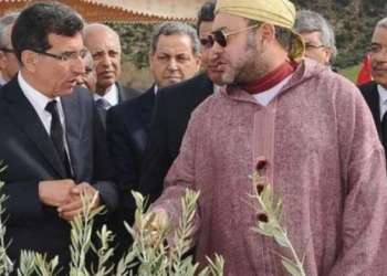 رؤية ملكية مجددة لمواكبة القطاع الفلاحي بشكل أفضل